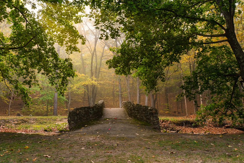 Life is full of roads to be travelled and bridges to be crossed.